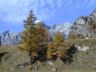 Panorama verso il Monte Cervandone